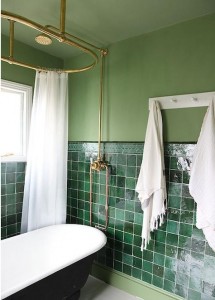 Salle de bains verte :125 idÃ©es pour vous convaincre