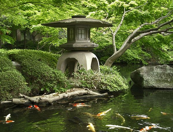 aménagement bassin japonais avec poissons rouges