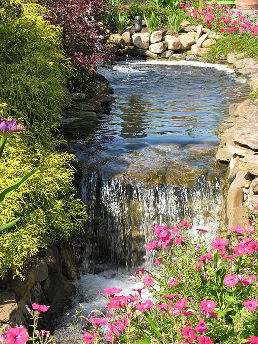 idee-jardin-relaxant-cascade-32