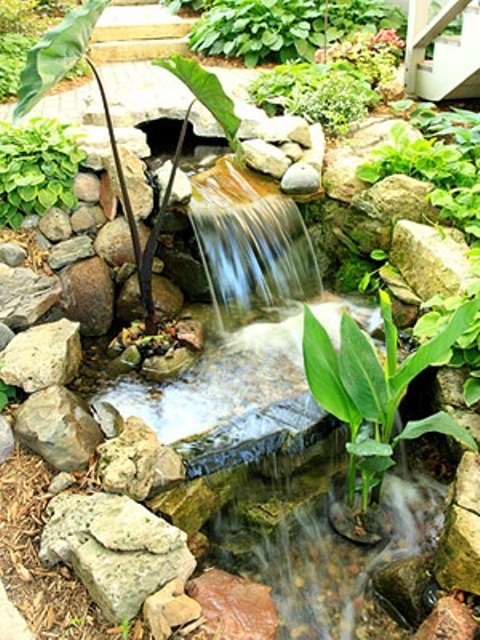 idee-jardin-relaxant-cascade-36