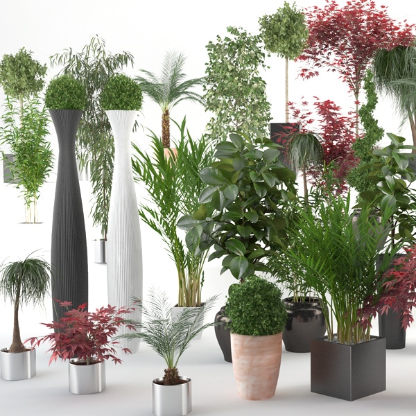 Quel pot pour quelle plante ?