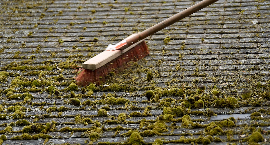 Comment démousser et nettoyer une toiture