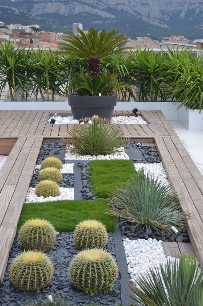 idée 2020 pour la terrasse avec cactus et graviers.